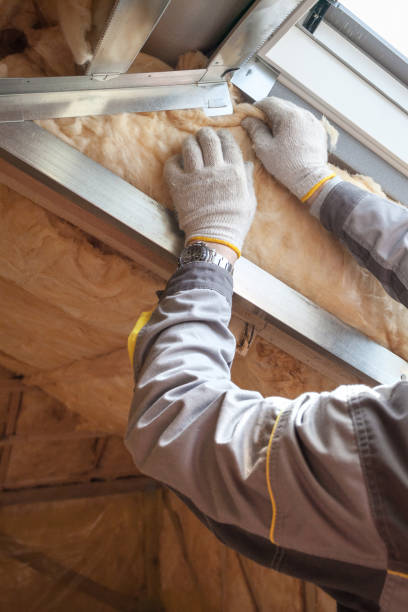 Best Commercial Insulation Contractor  in Redwood, TX