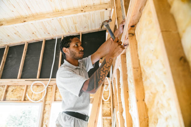 Best Insulation Replacement Services  in Redwood, TX