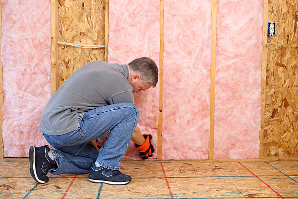 Best Spray Foam Insulation  in Redwood, TX